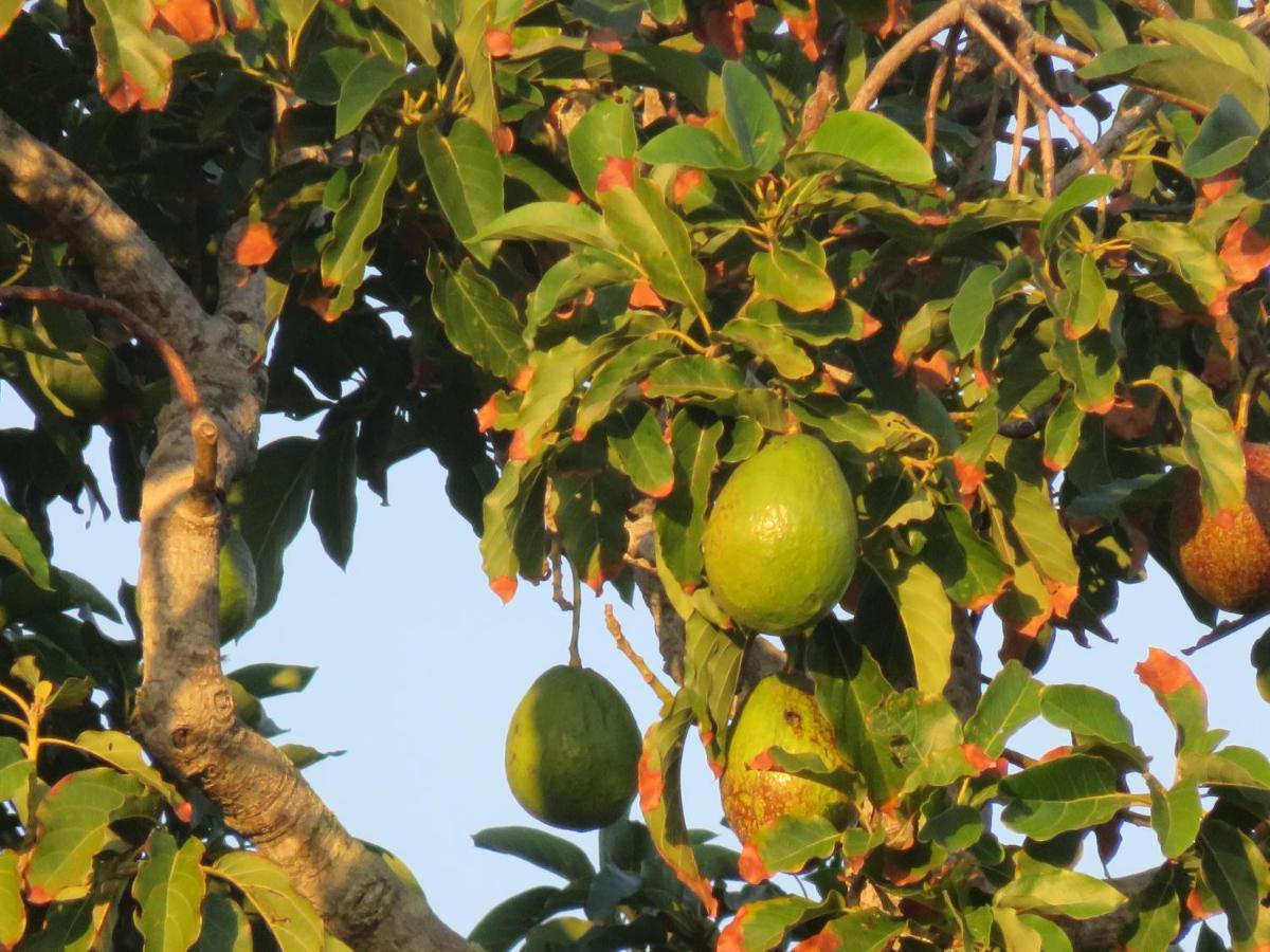 Pousada Biso Finoca Ibiraquera إيمبيتوبا المظهر الخارجي الصورة