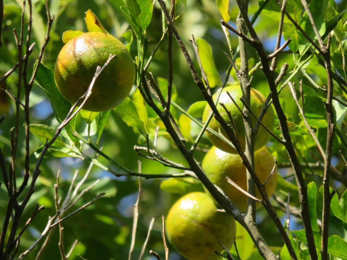 Pousada Biso Finoca Ibiraquera إيمبيتوبا المظهر الخارجي الصورة