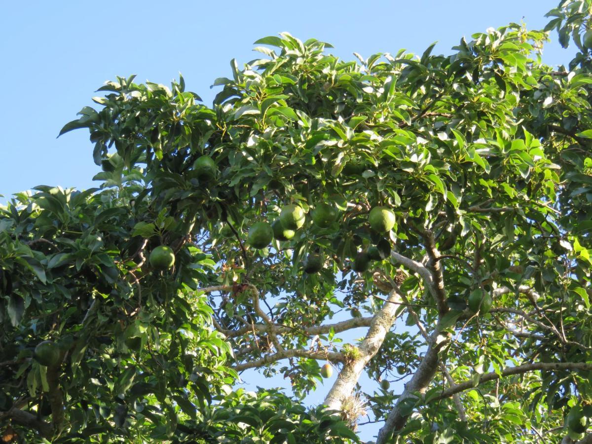 Pousada Biso Finoca Ibiraquera إيمبيتوبا المظهر الخارجي الصورة